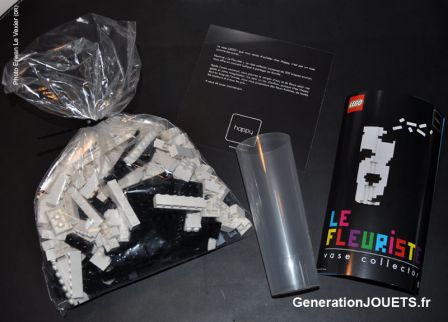 Contenu du coffret Le Fleuriste pour assembler le vase Arty Noir & Blanc 297: briques Lego, un moule étanche et la notice